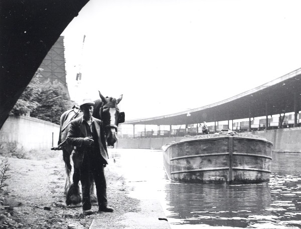 R2423