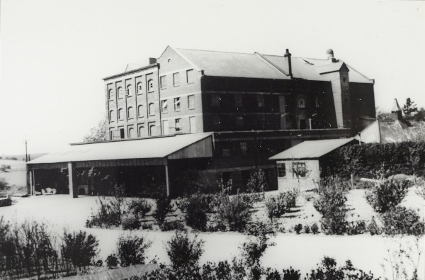 BW192-3-1-9-2-33 image BW192-3-1-9-2-33