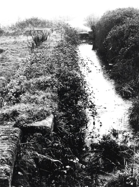 R0933 image R0933