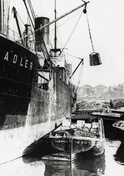 BW192-3-2-2-28-43 image BW192-3-2-2-28-43