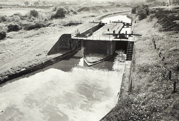 BW200-1-99-43 image BW200-1-99-43