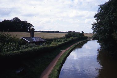 crt_wild_23 image crt_wild_23