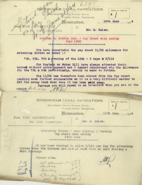 image bw165-12-7-231horse care