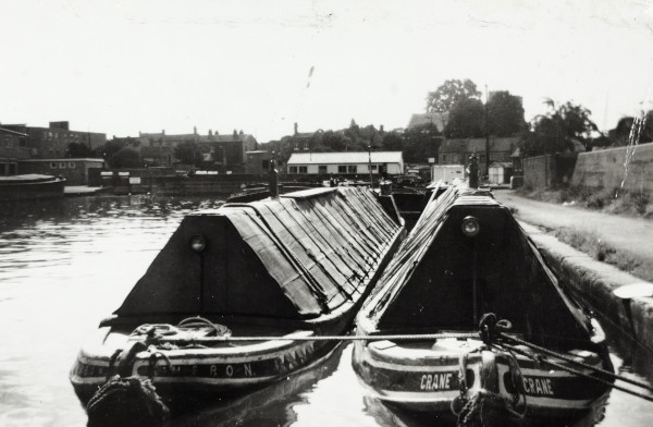 BW192-3-2-2-13-1-443 image BW192-3-2-2-13-1-443