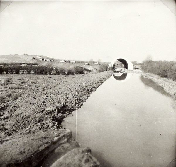 BW192-2-53 image BW192-2-53