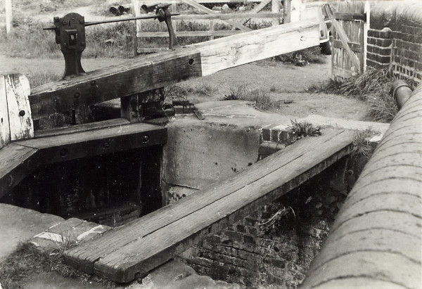 BW200-1-89-53 image BW200-1-89-53