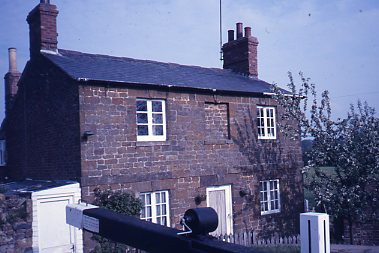 crt_wild_126 image crt_wild_126