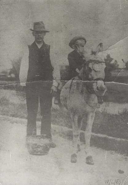 BW192-3-2-2-12-1-353 image BW192-3-2-2-12-1-353