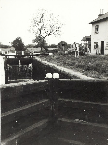 BW200-1-99-73 image BW200-1-99-73