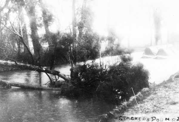 R0573 image R0573