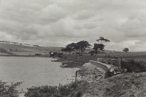 BW192-3-2-1-12-1-83 image BW192-3-2-1-12-1-83