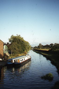 crt_wild_150 image crt_wild_150