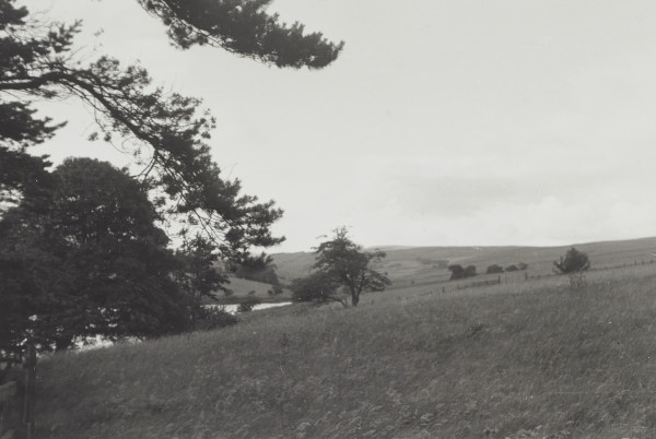 BW192-3-2-1-12-1-93 image BW192-3-2-1-12-1-93