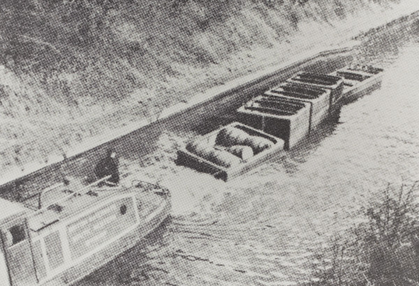 BW192-3-2-2-2-93 image BW192-3-2-2-2-93