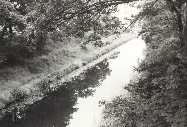 BW200-1-100-4 image BW200-1-100-4