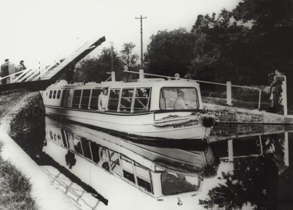 BW192-3-1-36-10-4 image BW192-3-1-36-10-4