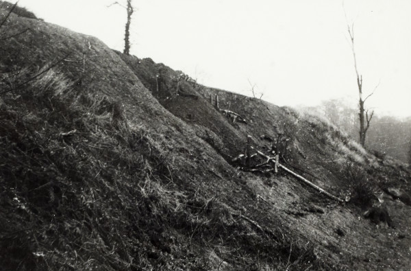 BW192-3-1-29-10-4 image BW192-3-1-29-10-4