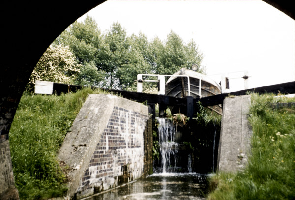 BW197-2-26-40-4 image BW197-2-26-40-4