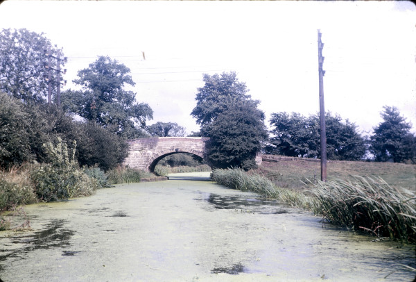 BW197-2-12-1-4 image BW197-2-12-1-4