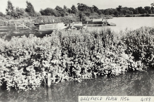 BW192-3-1-32-1-4 image BW192-3-1-32-1-4