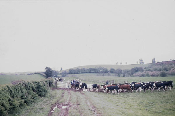 BW197-2-32-1-4 image BW197-2-32-1-4