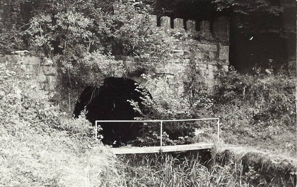 BW200-1-97-1-4 image BW200-1-97-1-4