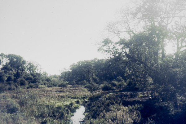 BW197-2-29-11-4 image BW197-2-29-11-4