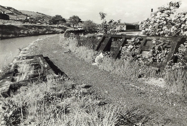 BW200-1-44-2-4 image BW200-1-44-2-4