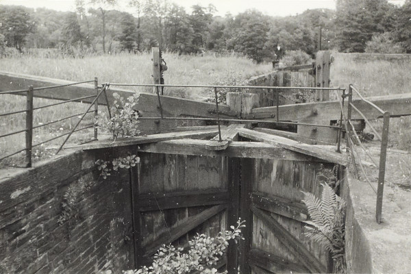 BW200-1-66-2-4 image BW200-1-66-2-4