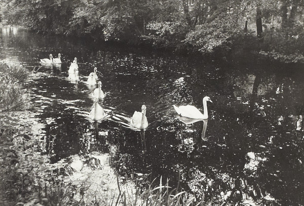 BW200-1-7-22-4 image BW200-1-7-22-4