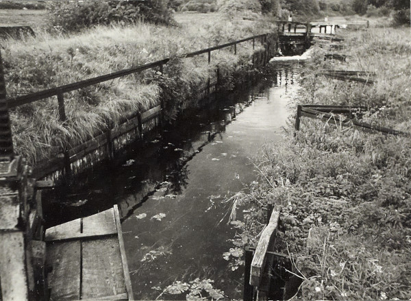 BW200-1-47-22-4 image BW200-1-47-22-4