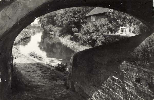 BW200-1-89-42-4 image BW200-1-89-42-4