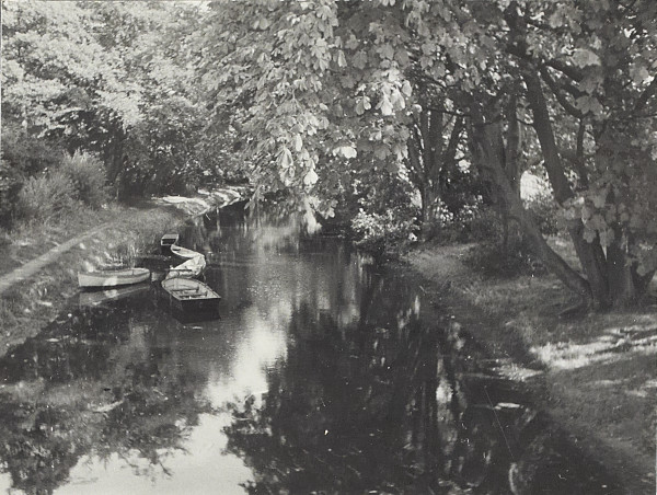 BW200-1-7-13-4 image BW200-1-7-13-4