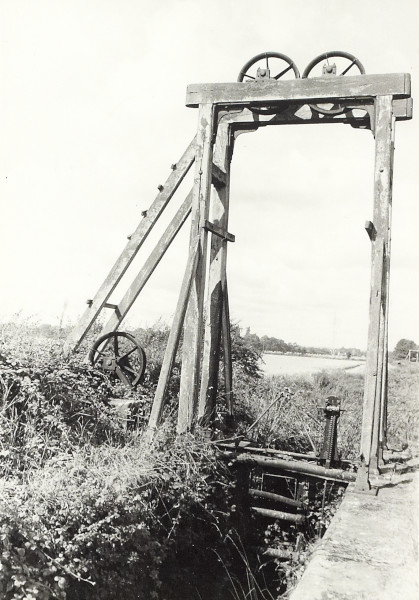 BW200-1-81-23-4 image BW200-1-81-23-4