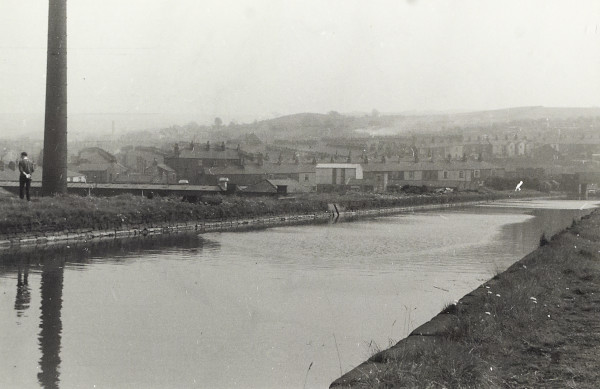 BW200-1-52-1-33-4 image BW200-1-52-1-33-4