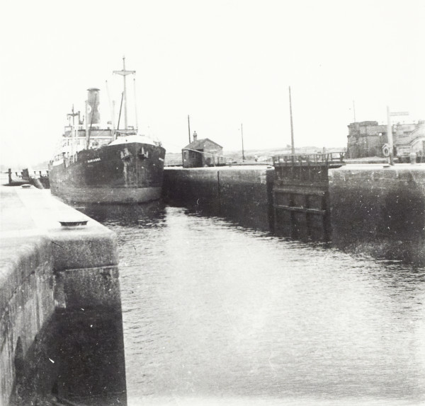 BW192-3-1-2-4-4 image BW192-3-1-2-4-4