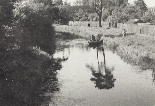 BW200-1-7-14-4 image BW200-1-7-14-4