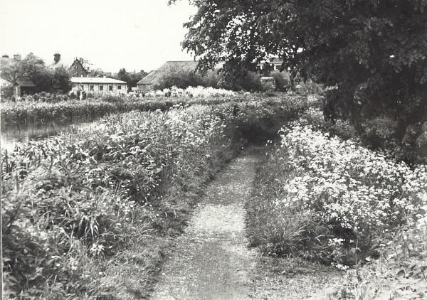 BW200-1-47-54-4 image BW200-1-47-54-4