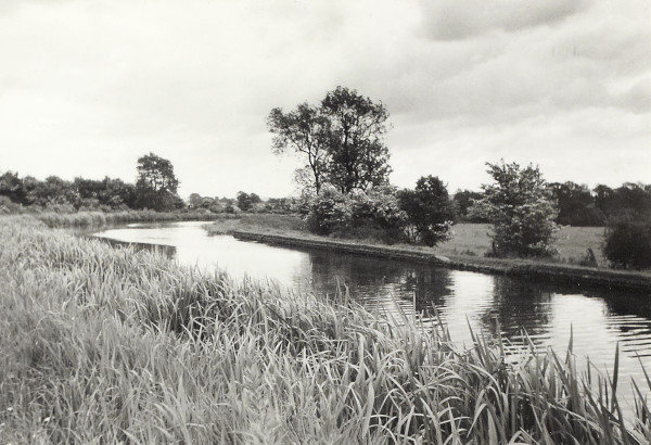 BW200-1-99-74-4 image BW200-1-99-74-4