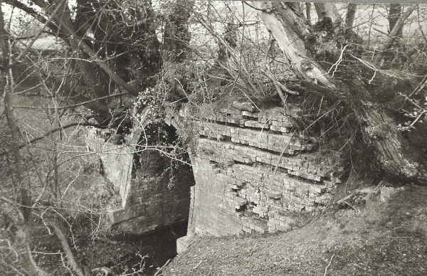 BW200-1-51-5-4 image BW200-1-51-5-4