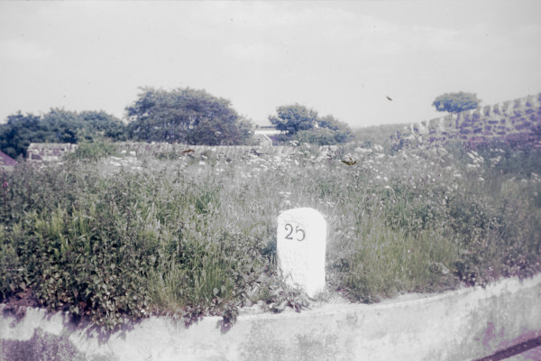 BW197-2-15-5-4 image BW197-2-15-5-4