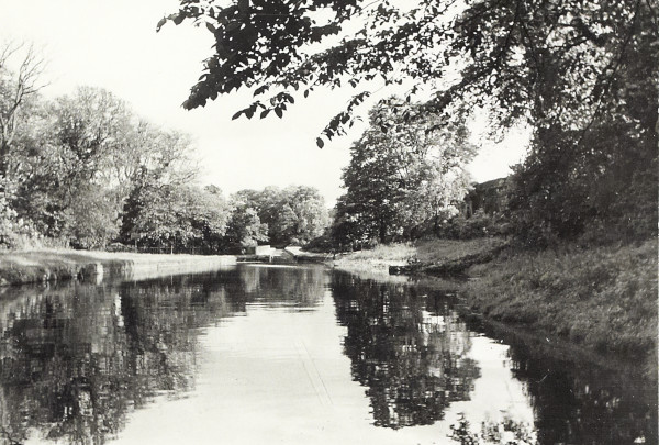 BW200-1-55-5-4 image BW200-1-55-5-4