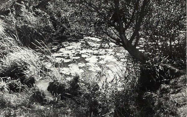 BW200-1-106-5-4 image BW200-1-106-5-4