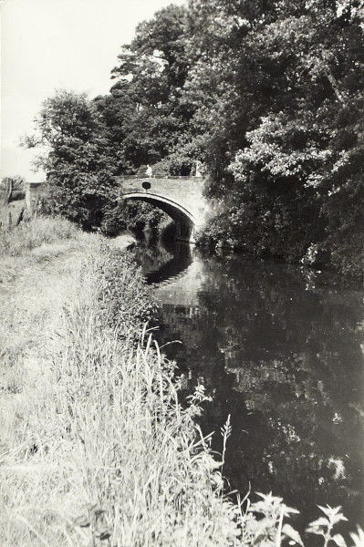 BW200-1-89-35-4 image BW200-1-89-35-4