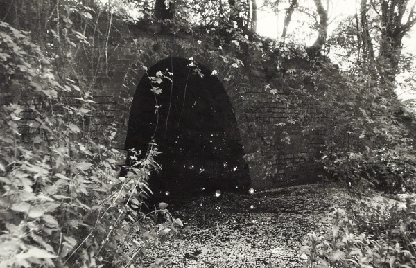 BW200-1-51-6-4 image BW200-1-51-6-4