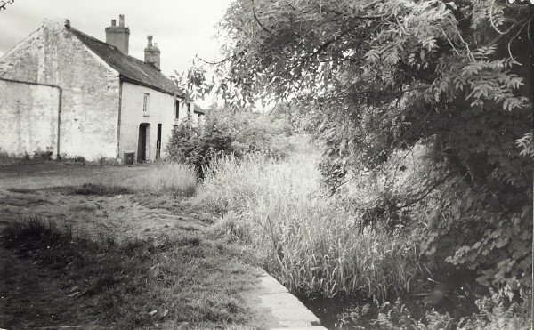 BW200-1-64-6-4 image BW200-1-64-6-4