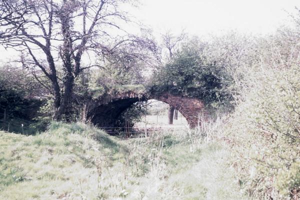 BW197-2-27-6-4 image BW197-2-27-6-4