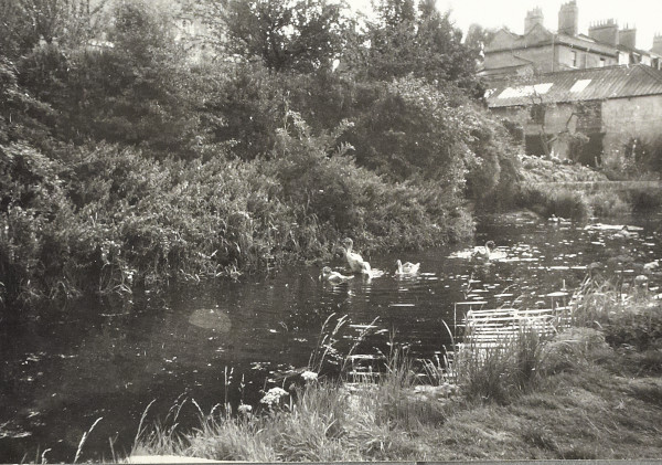 BW200-1-47-46-4 image BW200-1-47-46-4