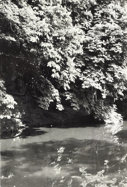 BW200-1-89-46-4 image BW200-1-89-46-4