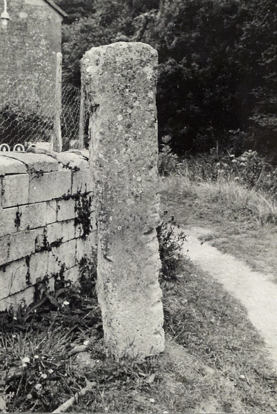 BW200-1-47-56-4 image BW200-1-47-56-4